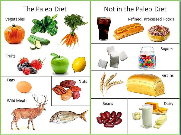 paleo diyet listesi