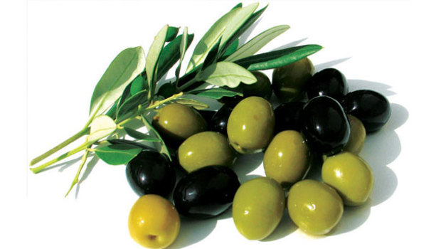 Zeytin